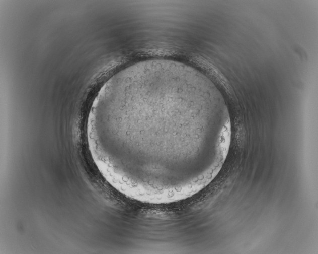 X0000110870635200907301414