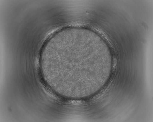 X0000110870636200907301414