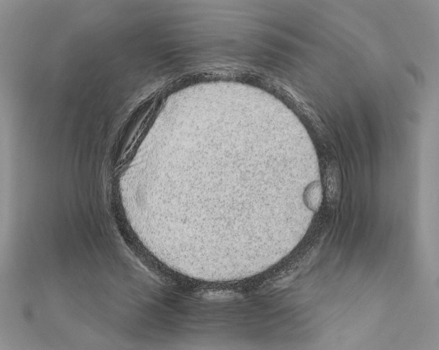 X0000110870637200907301414