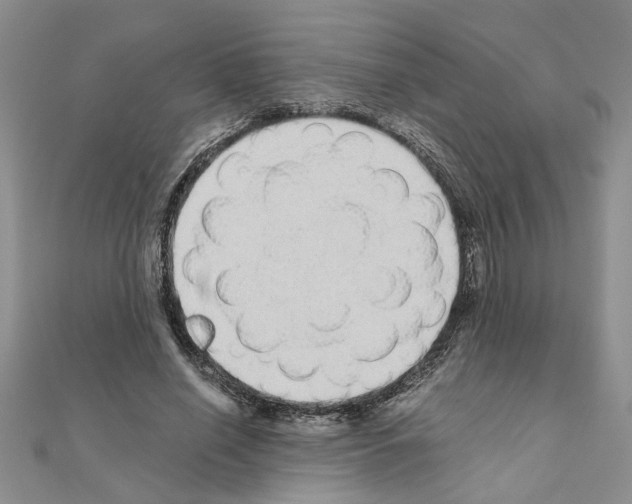 X0000110870638200907301414