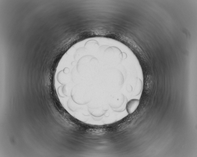 X0000110870639200907301414