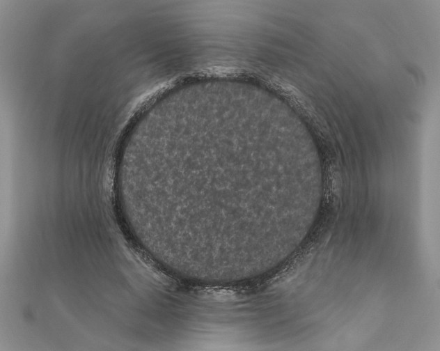 X0000110870640200907301414