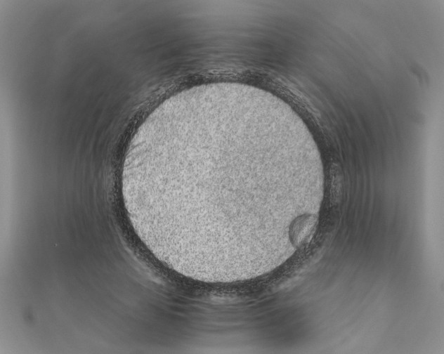 X0000110870641200907301414