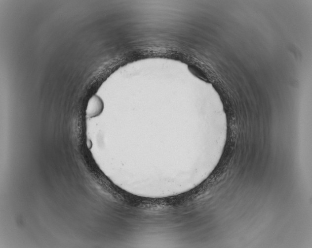 X0000110870642200907301414