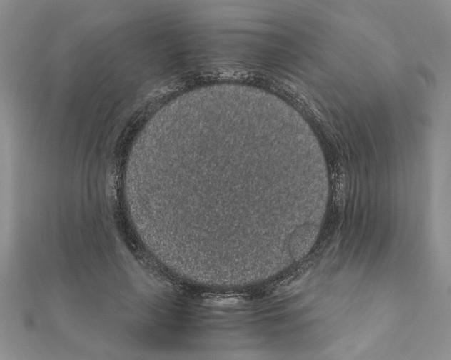 X0000110870643200907301414