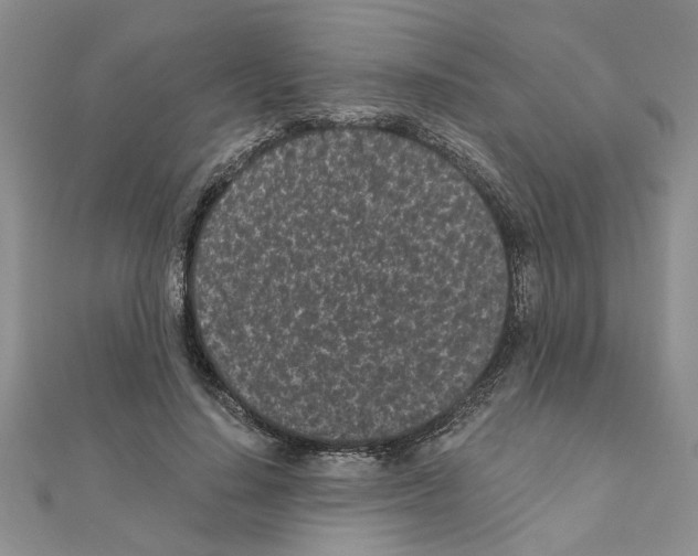 X0000110870644200907301414