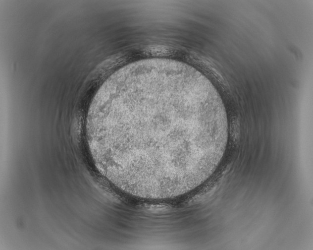 X0000110870645200907301414