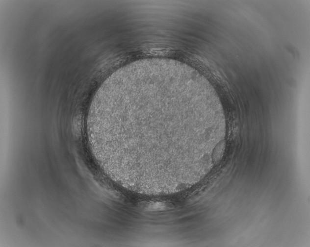 X0000110870647200907301414