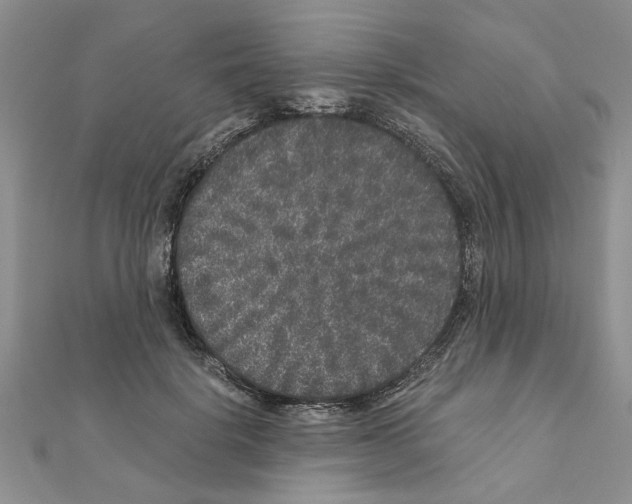 X0000110870652200907301414