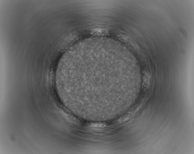 X0000110870659200907301414