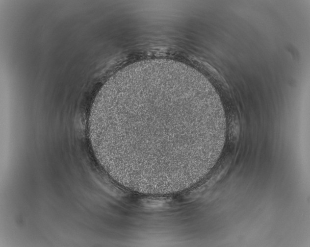 X0000110870661200907301414