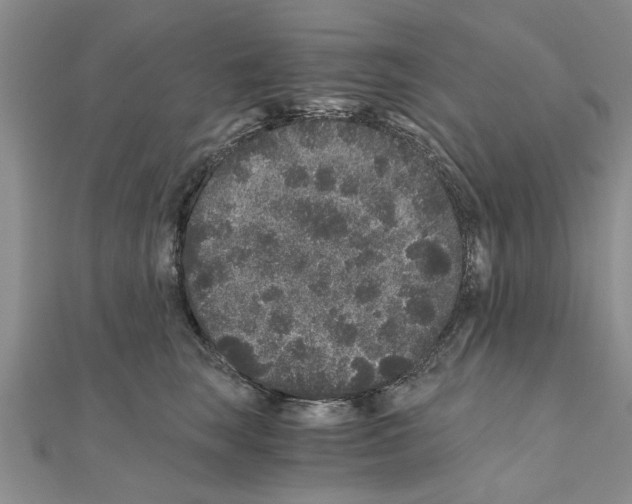 X0000110870663200907301414