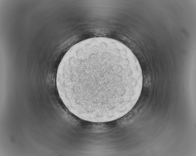 X0000110870666200907301414