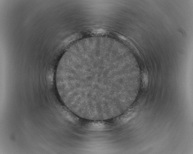 X0000110870668200907301414