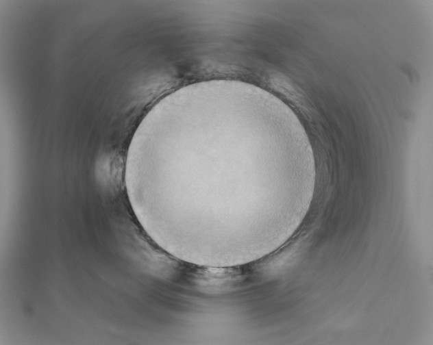 X0000110870672200907301414