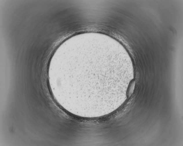 X0000110870673200907301414