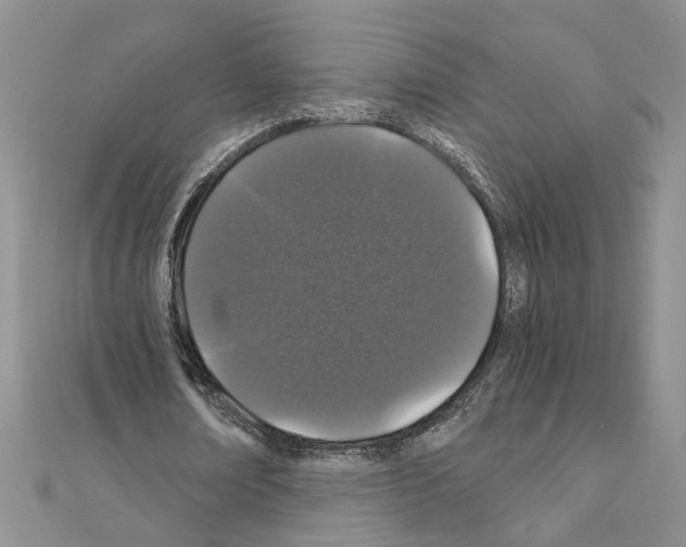 X0000110870674200907301414