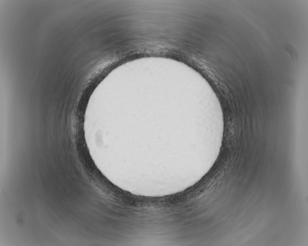 X0000110870679200907301414