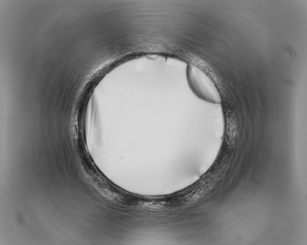 X0000110870680200907301414