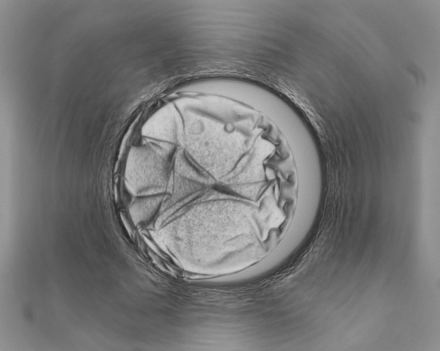 X0000110870681200907301414