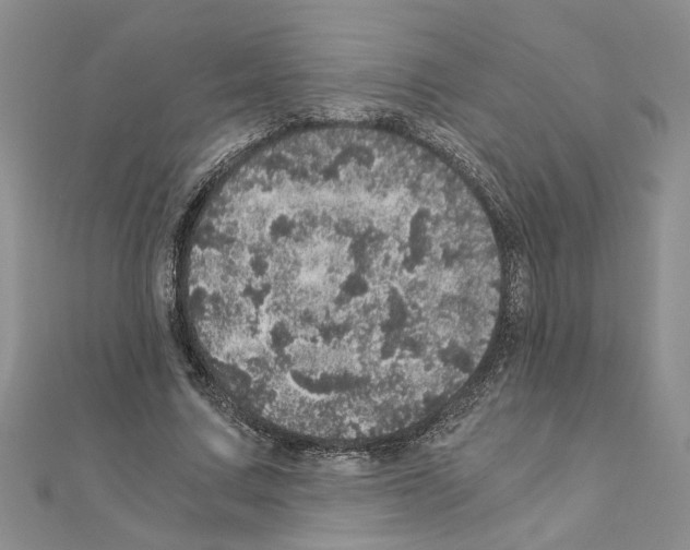 X0000110870683200907301414