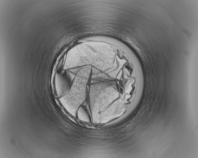 X0000110870685200907301414