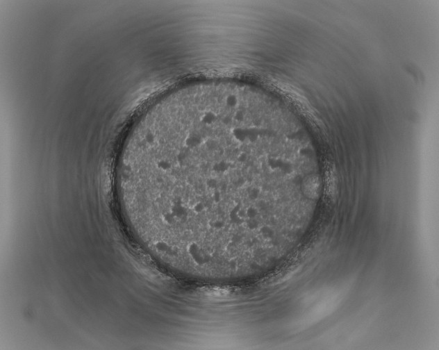 X0000110870687200907301414