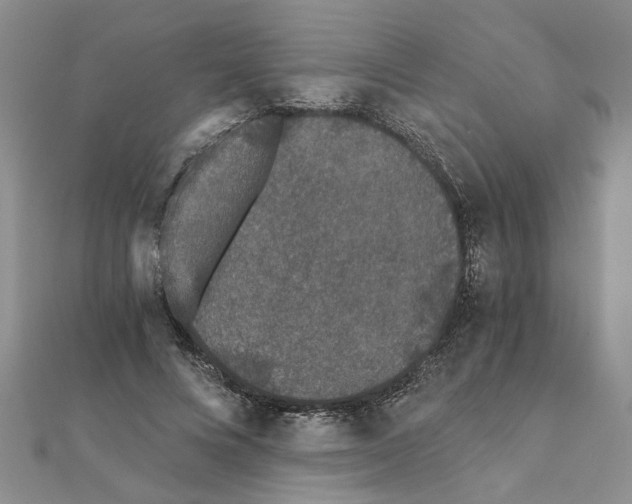 X0000110870688200907301414