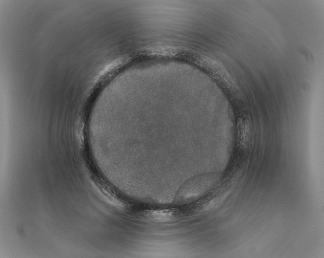 X0000110870692200907301413