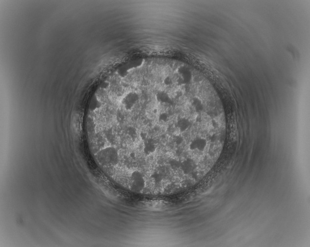 X0000110870695200907301413