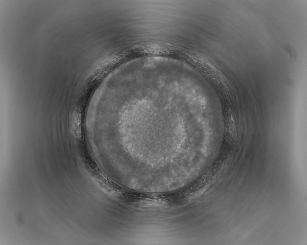 X0000110870696200907301413