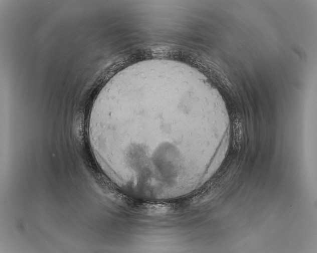 X0000110870698200907301413