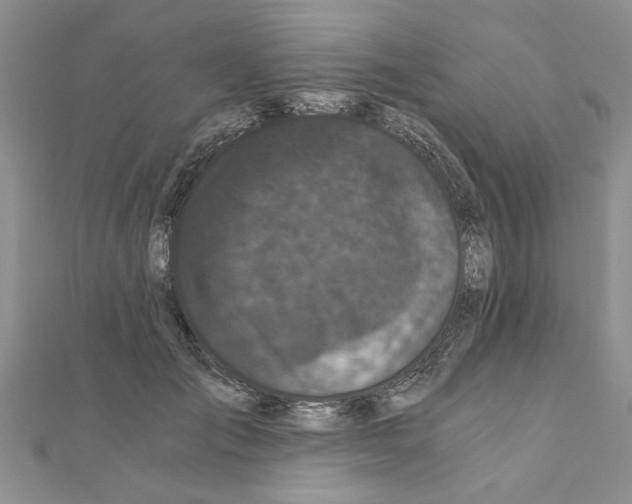 X0000110870701200907301413