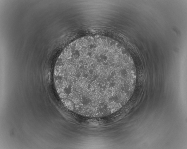 X0000110870703200907301413