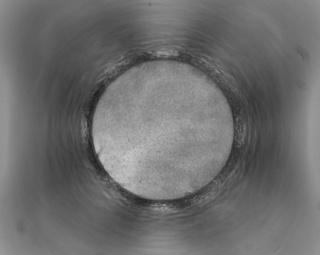 X0000110870704200907301413