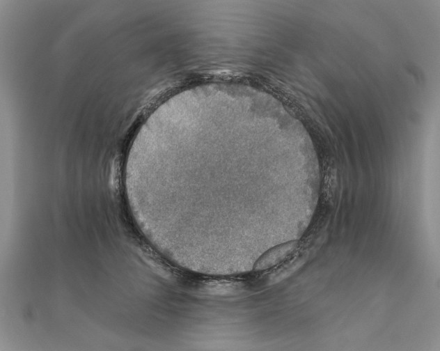 X0000110870708200907301413