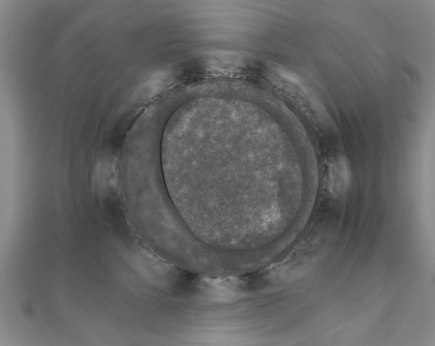 X0000110870712200907301413