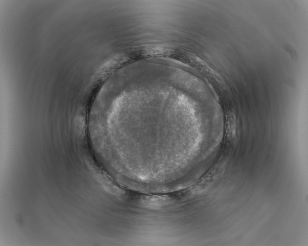 X0000110870716200907301413