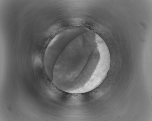 X0000110870720200907301413