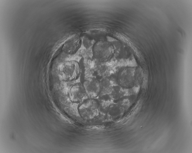 X0000110870721200907301412