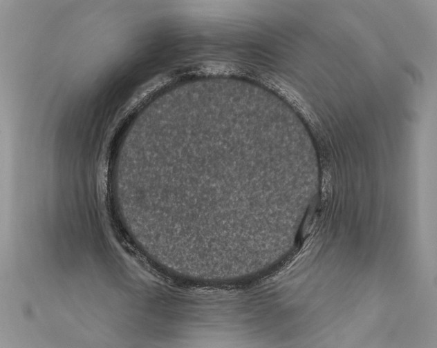 X0000110870722200907301412