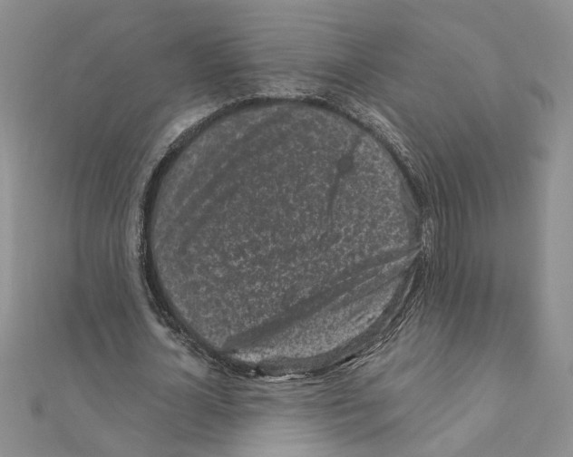 X0000110870724200907301412