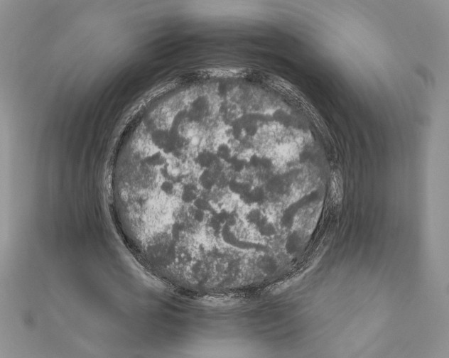 X0000110870725200907301412