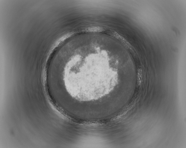 X0000110870726200907301412