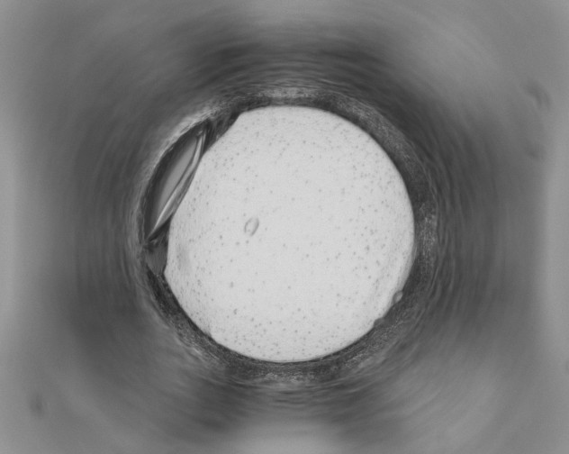 X0000110870727200907301412