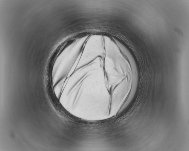 X0000110870728200907301412