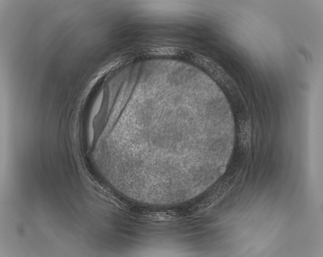 X0000110870731200907301413