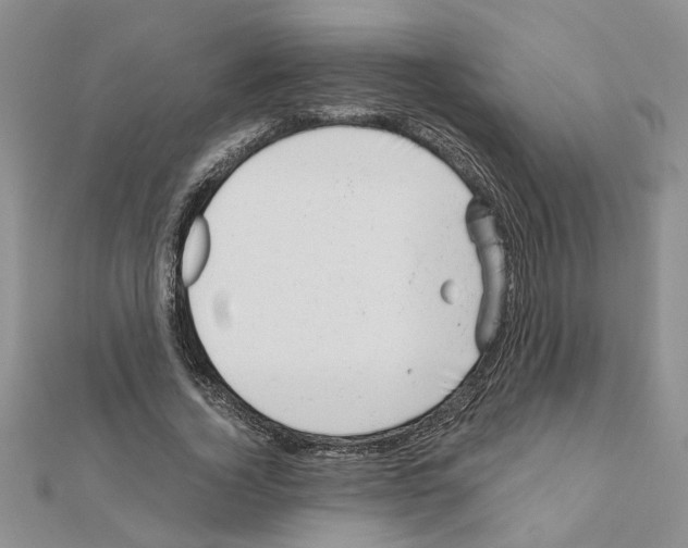 X0000110870732200907301413