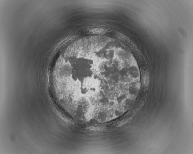 X0000110870733200907301413