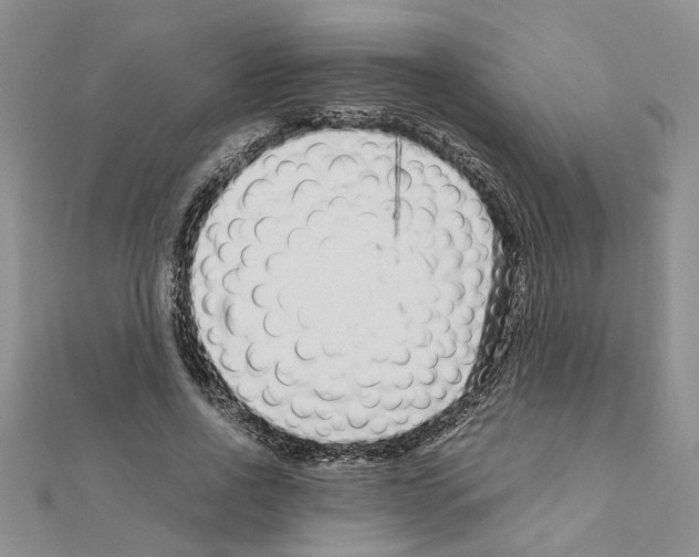 X0000110870734200907301413